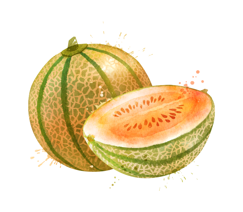 Reveny Melons